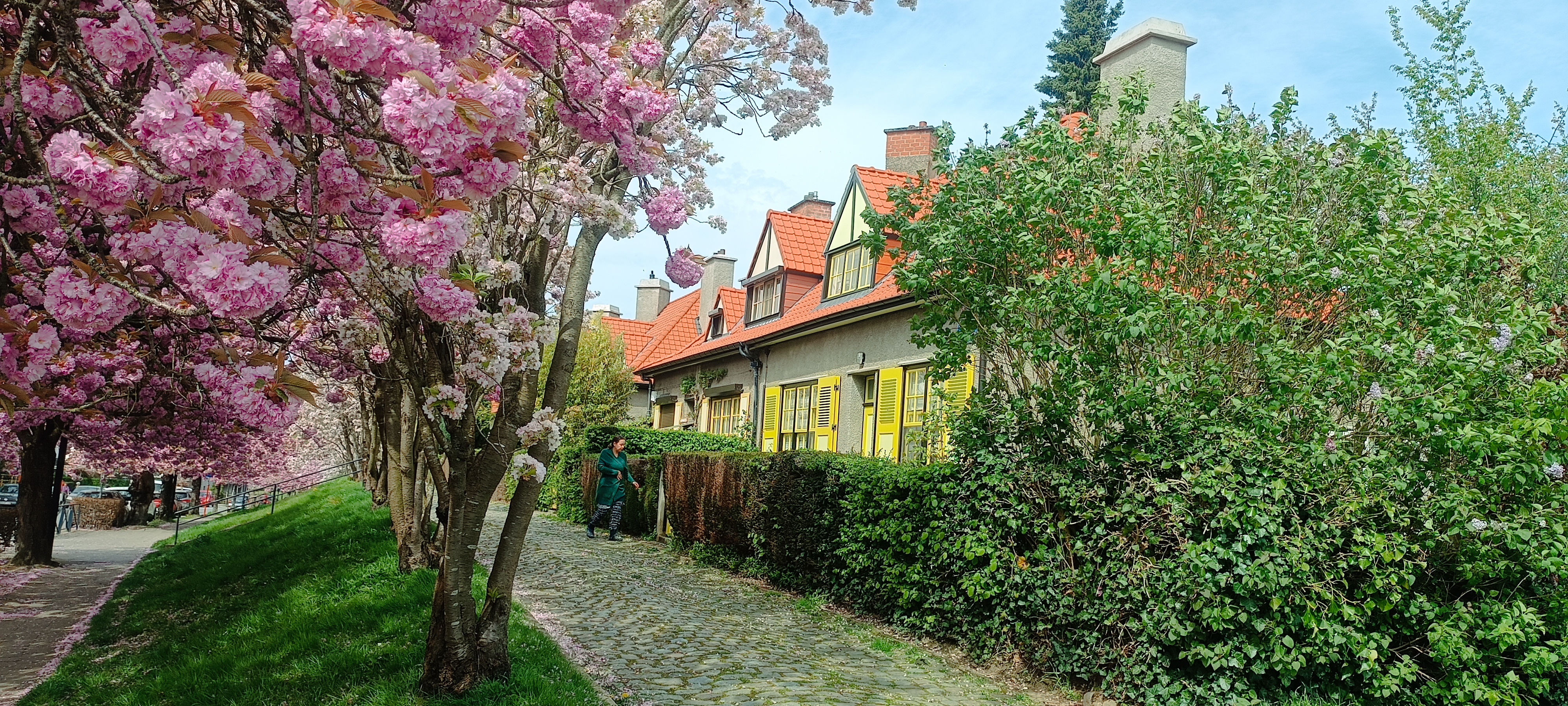 Les Cités -jardins le Logis et Floréal