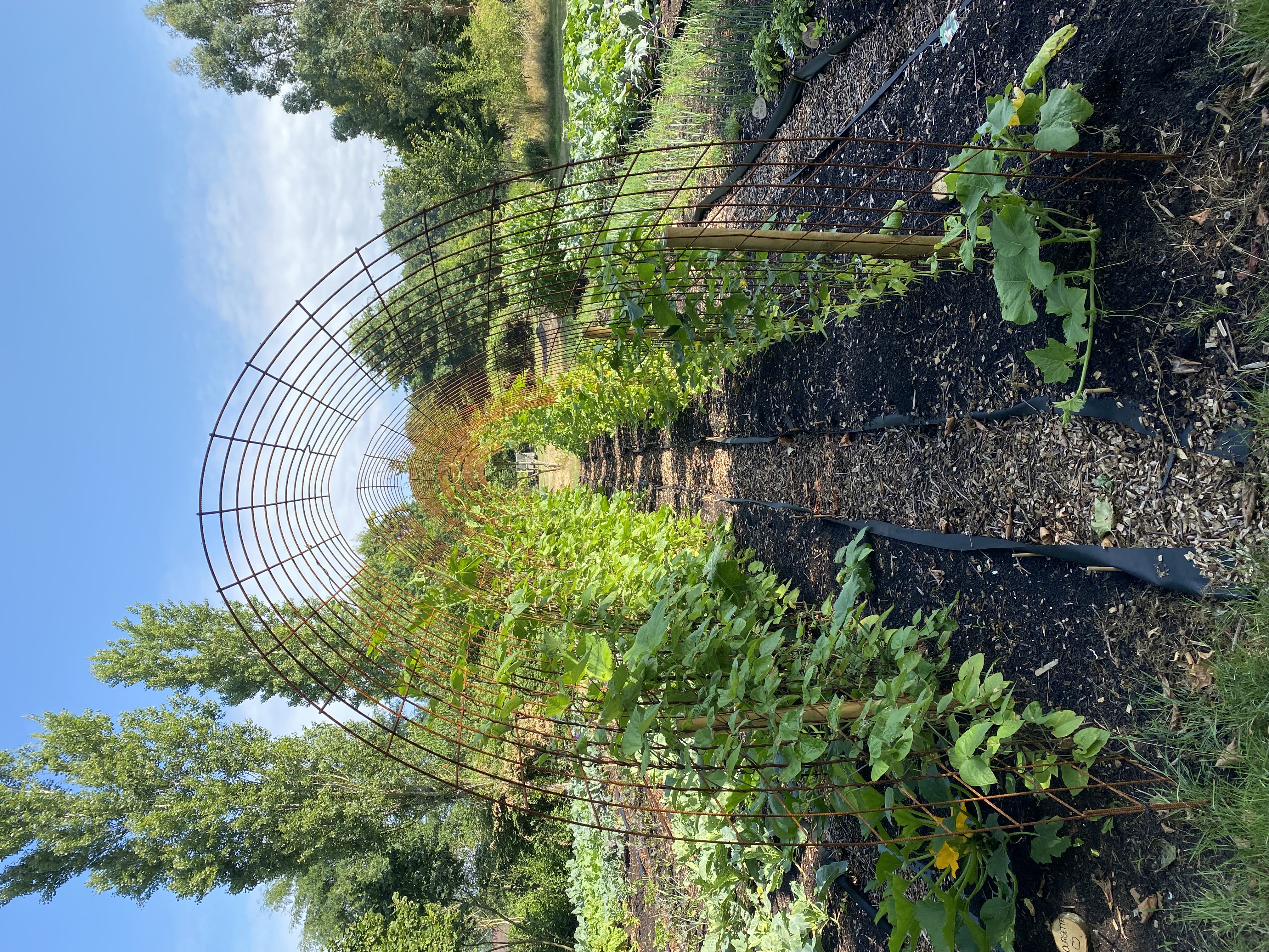 De pluktuin van La Fattoria, groenten, fruit en bloemen in een schitterende omgeving.