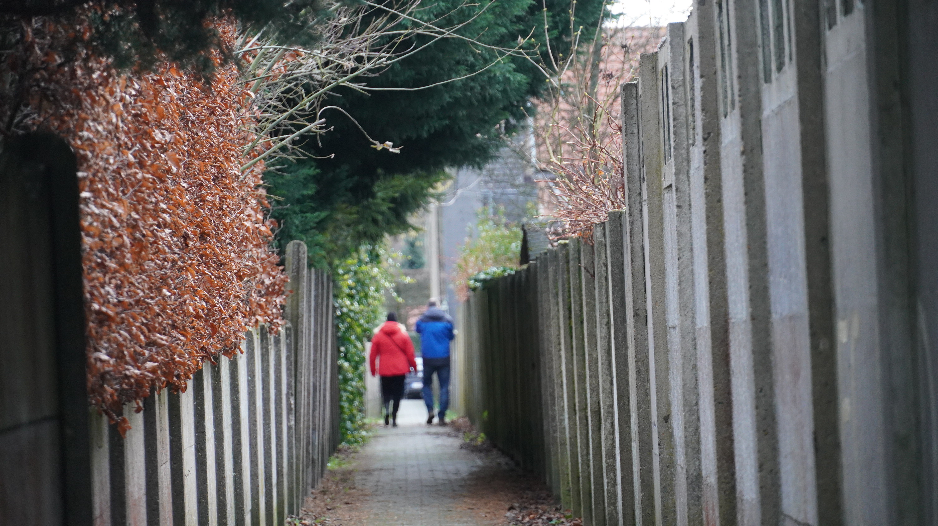 Winterwandeling 2023