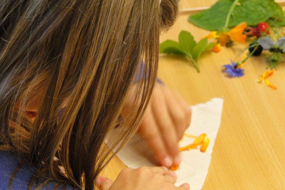 kruidenworkshop met kinderen verven klein.jpg