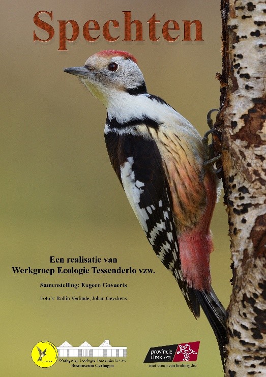 tentoonstelling spechten