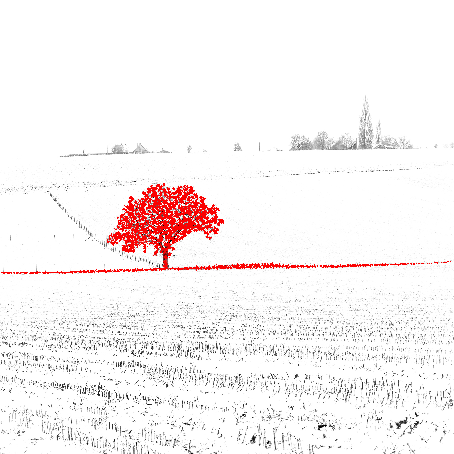 landschap in regenboogkleuren