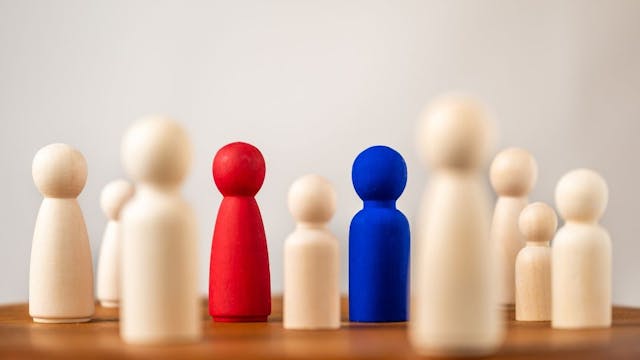 systemisch groeitraject