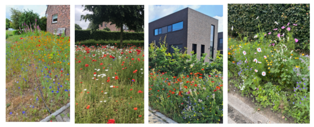 Samen voor een fleurige gemeente!