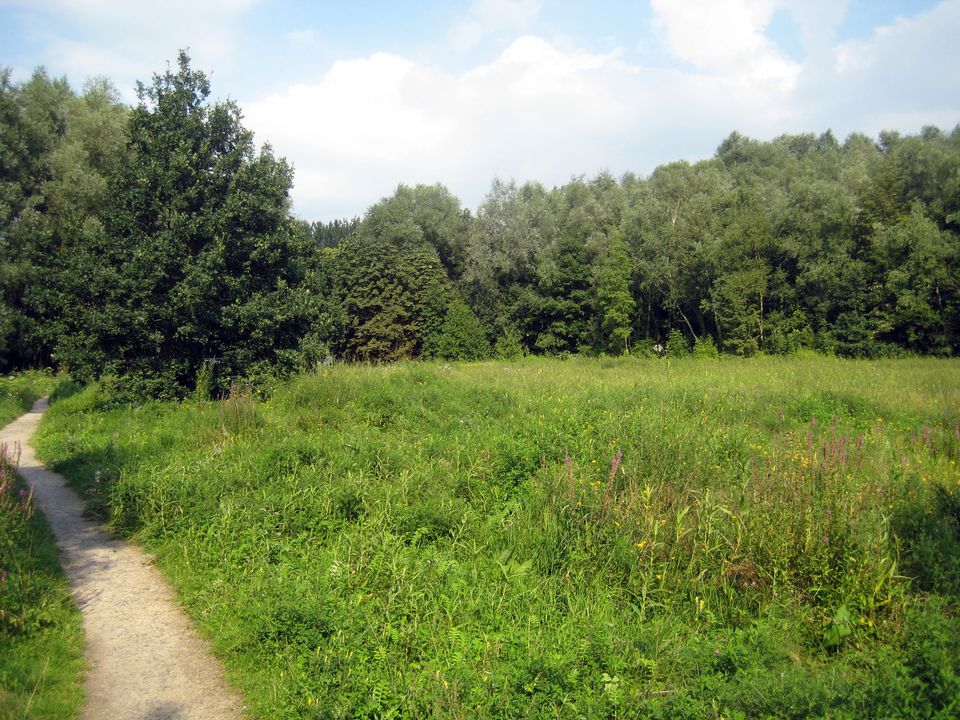 doorbomen in het Osbroek