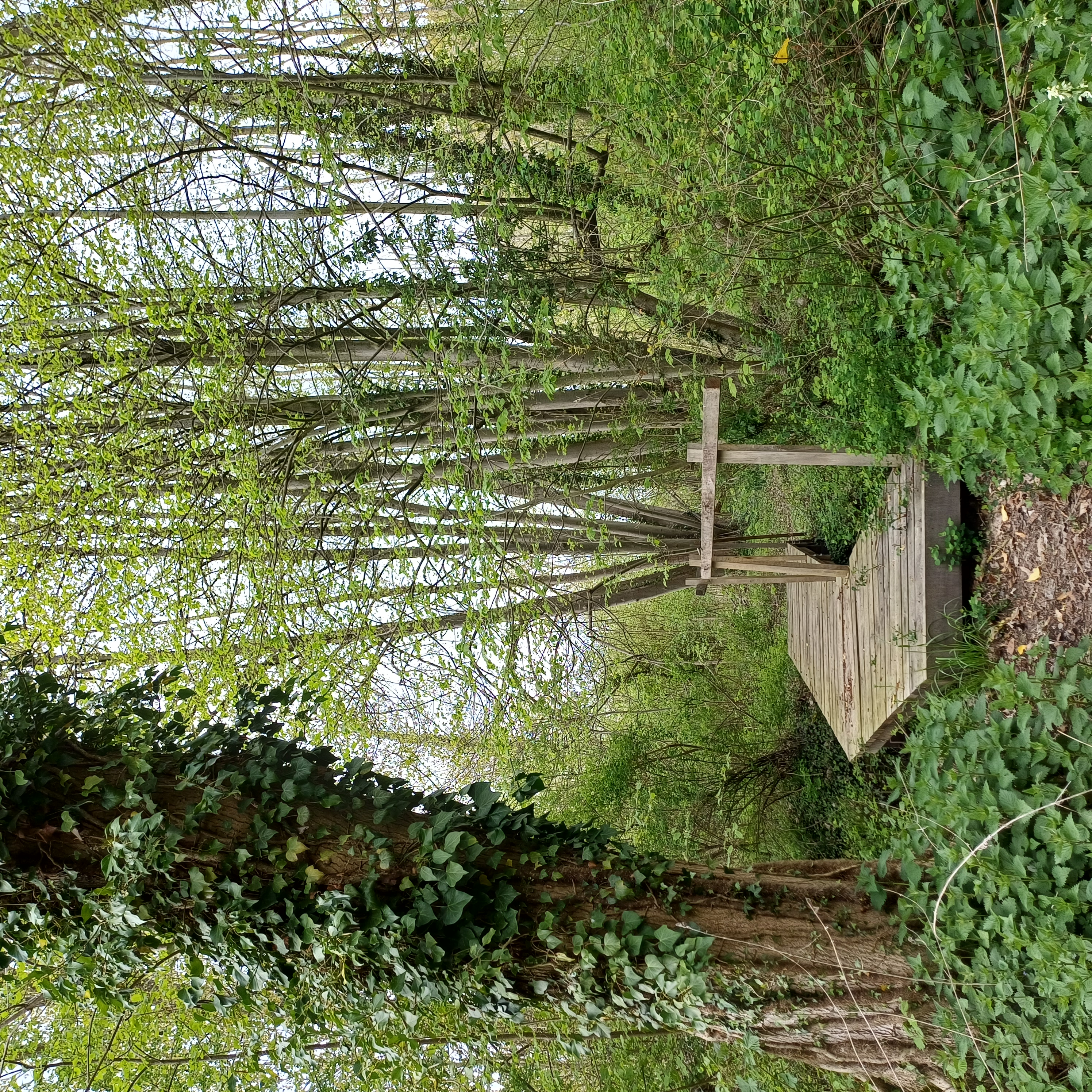 de Snoekengracht in Vertrijk