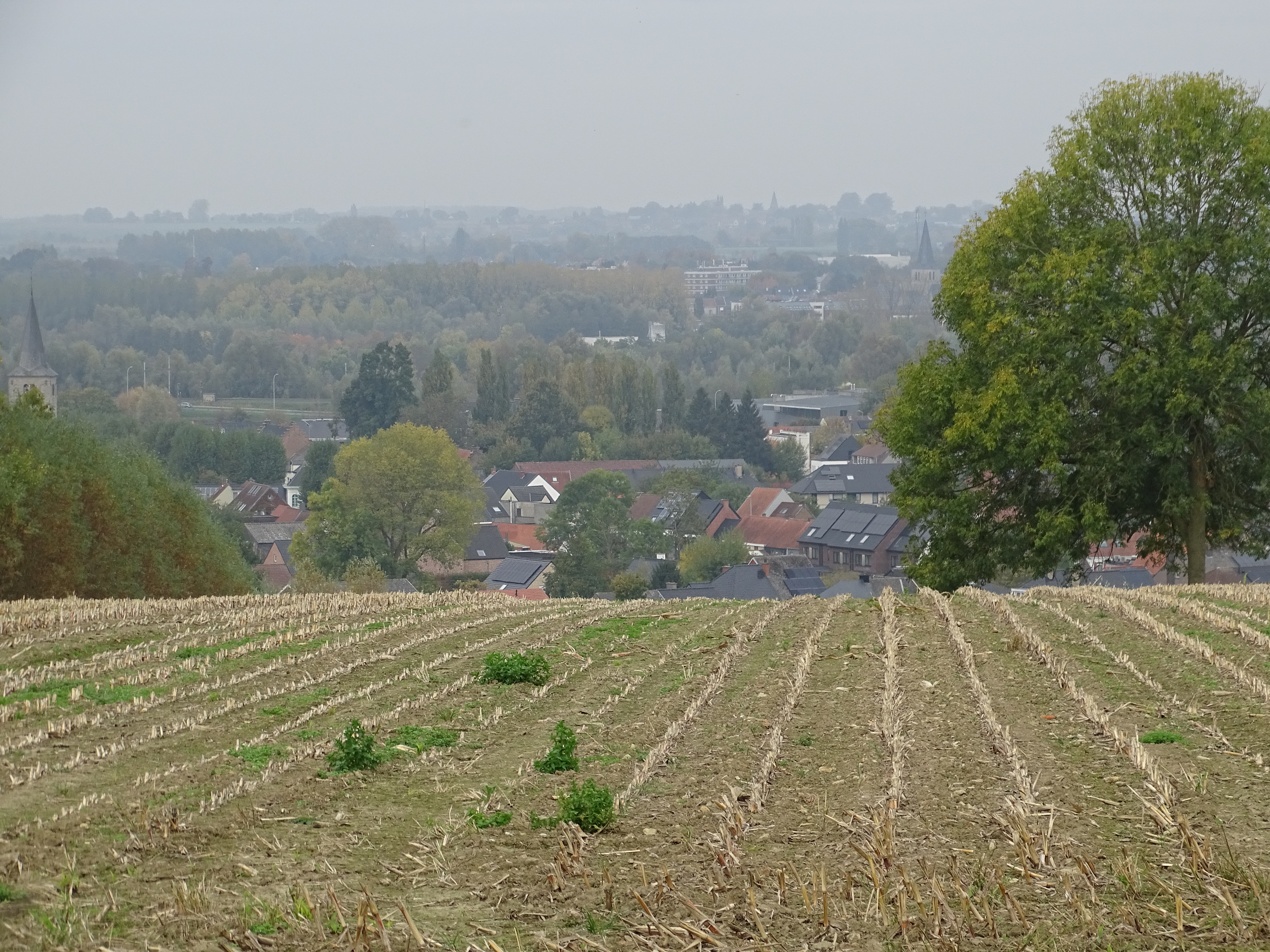 Wandelen en zoeken in de Vlaamse Ardennen