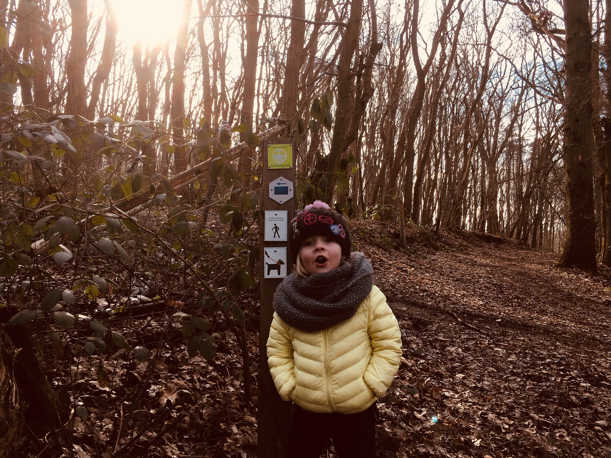 Natuurwandeling Balenberg