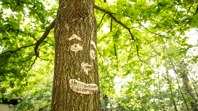 Kleigezichtje