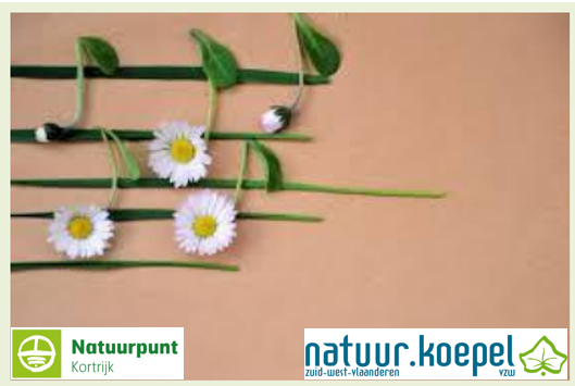 Natuurpunt