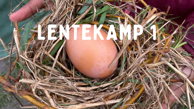 LENTE KAMP (insta post) (2).png