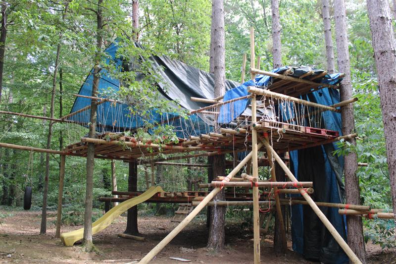 Treehouse Tribe