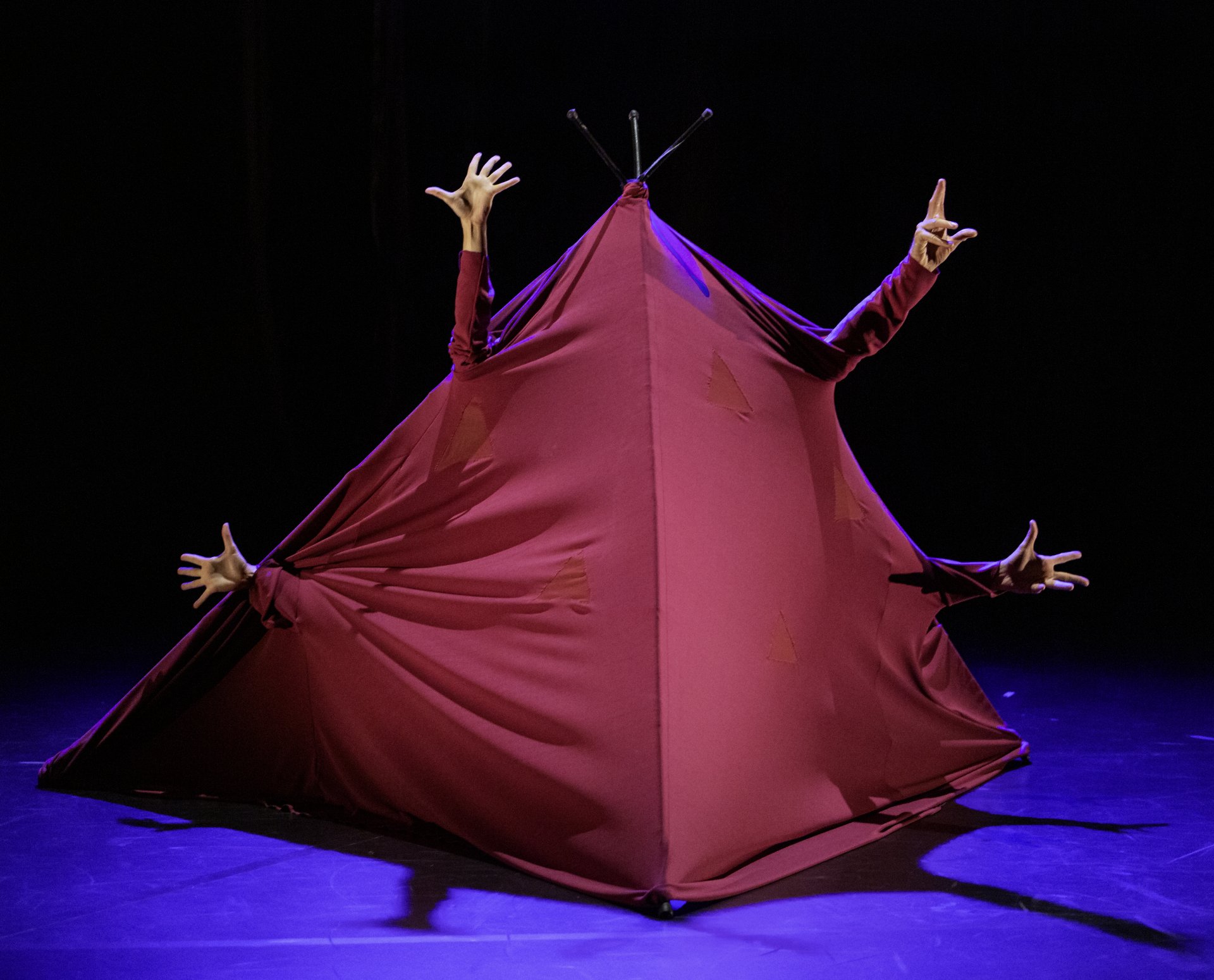 Kietelkriebels c Gilles Destexhe