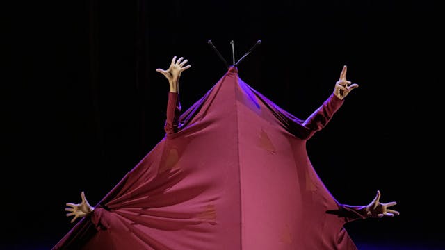 Kietelkriebels c Gilles Destexhe