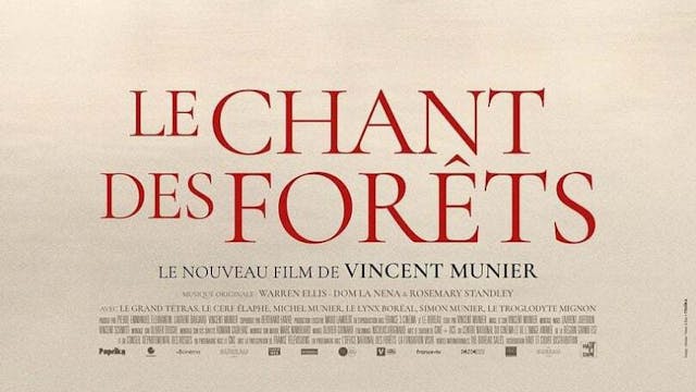 Le chant des forêts