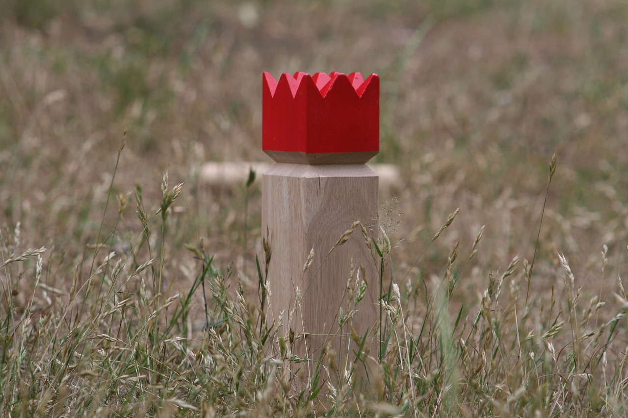 Sportelen: kubb tornooi