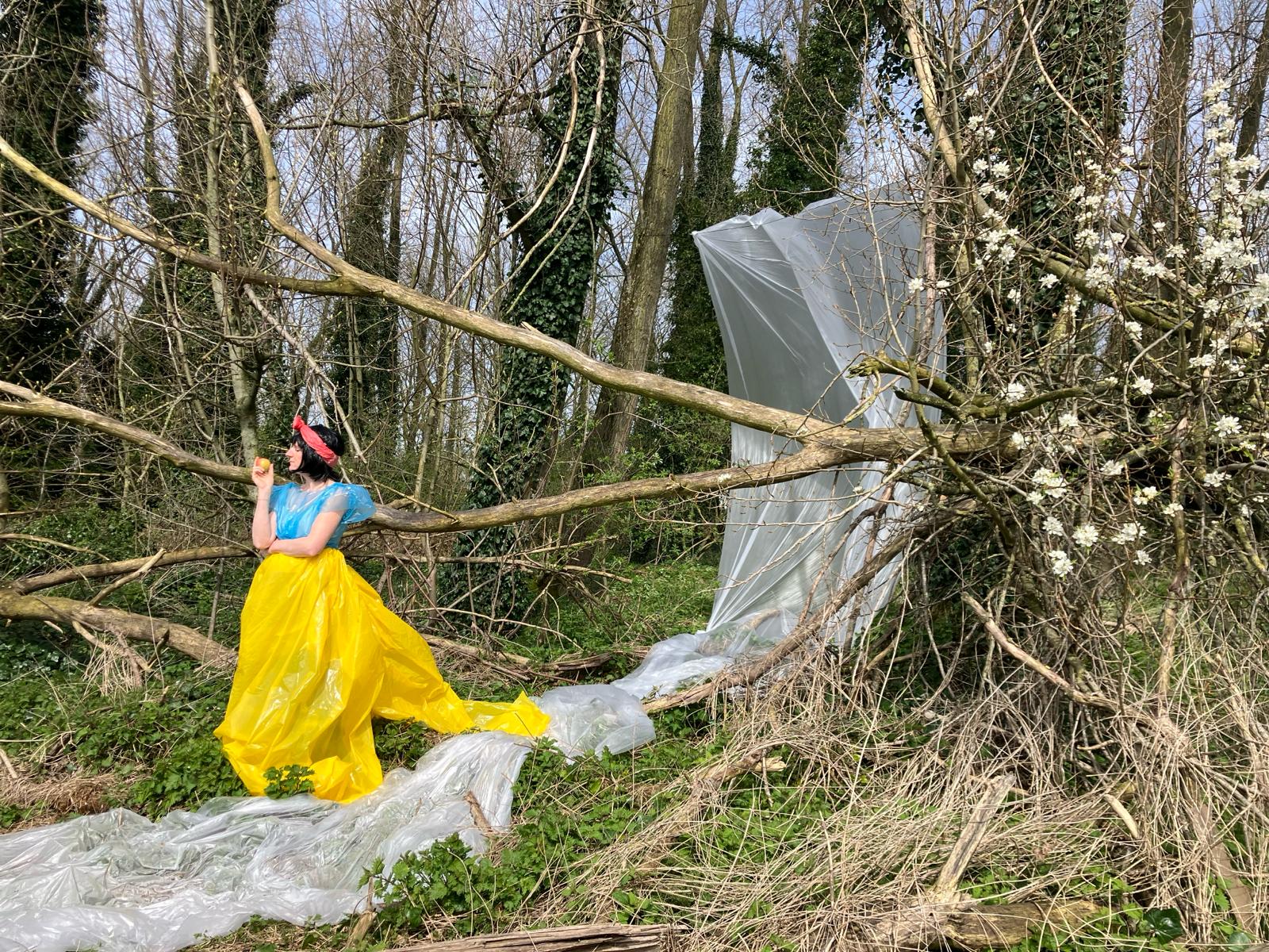 Powder to the people