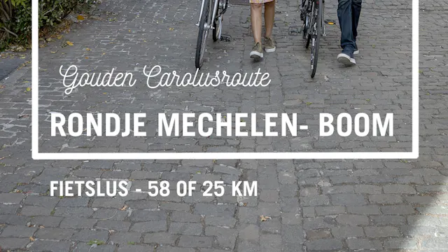 Rondje Mechelen - Boom