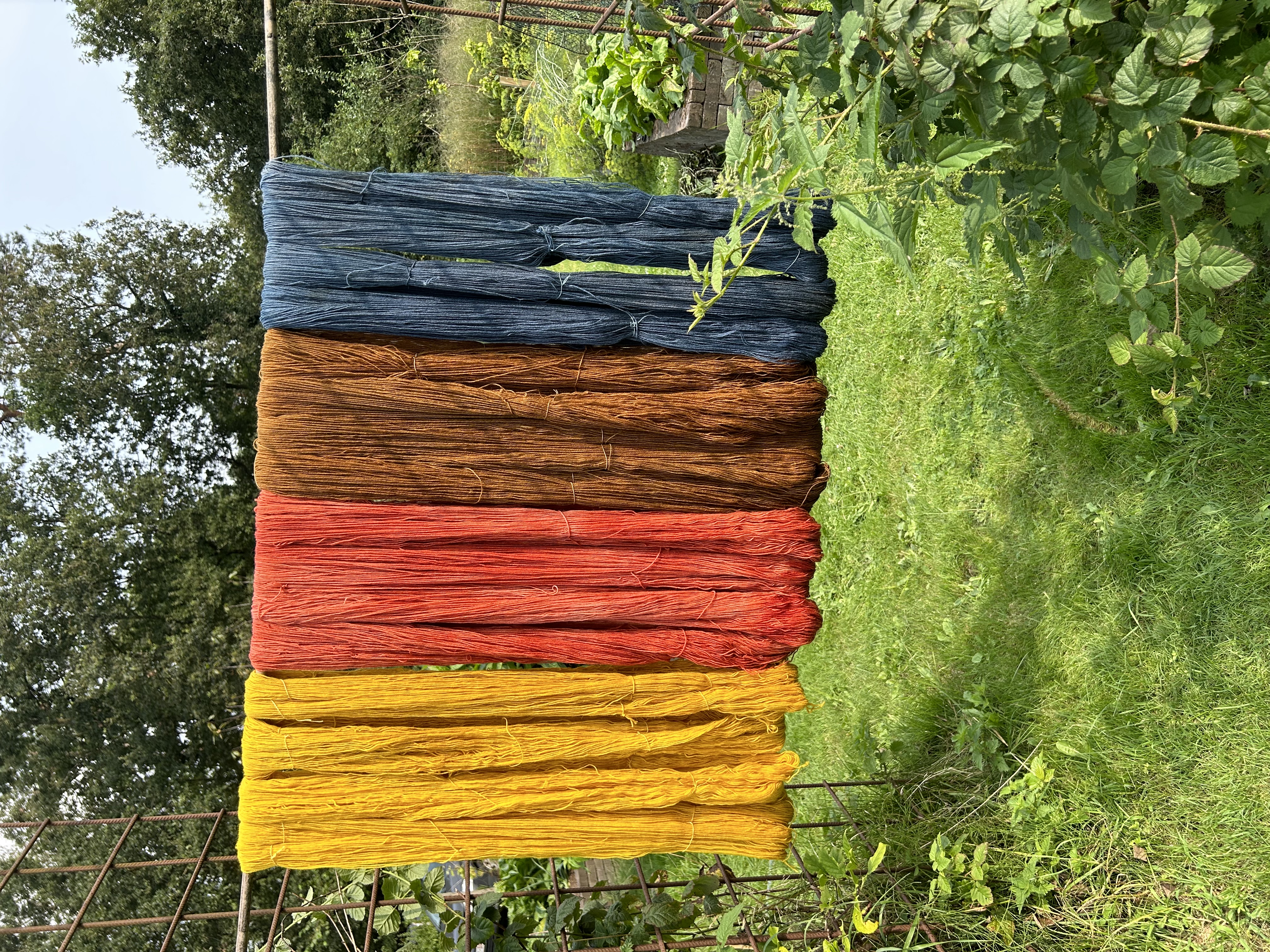 Workshop wol plantaardig kleuren