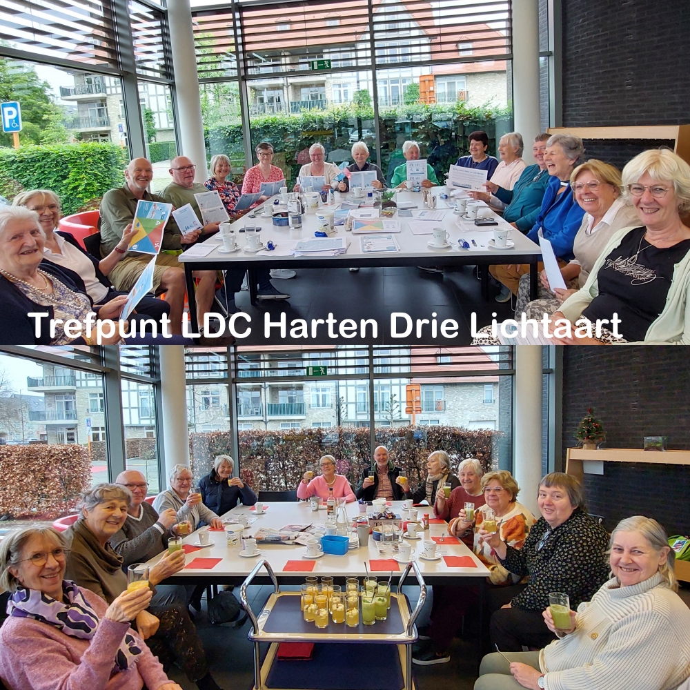 Een gezellige babbel aan tafel en een activiteit / infosessie van Harten Drie