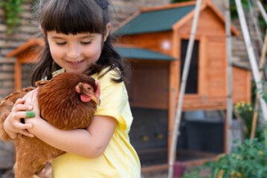 Welkom op de boerderij