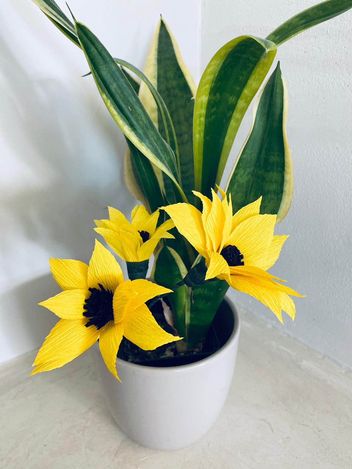 Mini zonnebloem