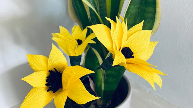 Mini zonnebloem