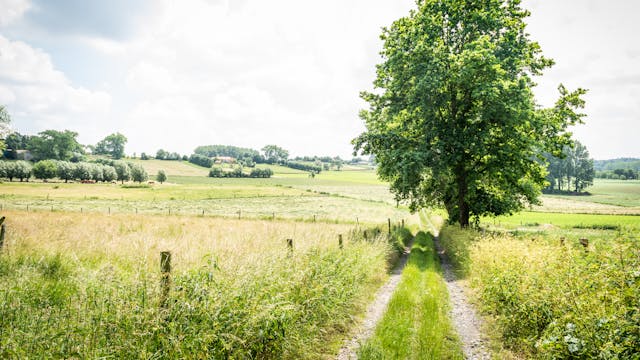 Verrassingswandeling