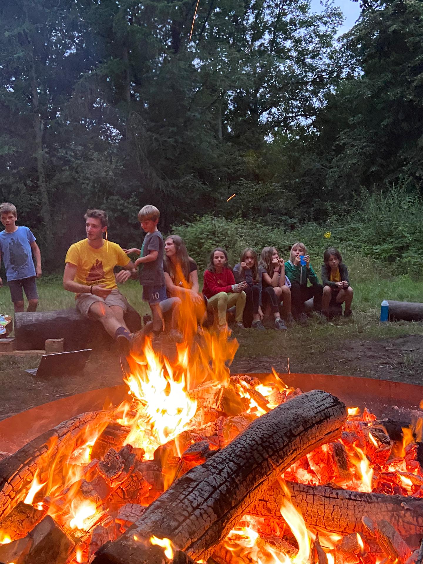 Vlammen Heverlee! (2014-2016)