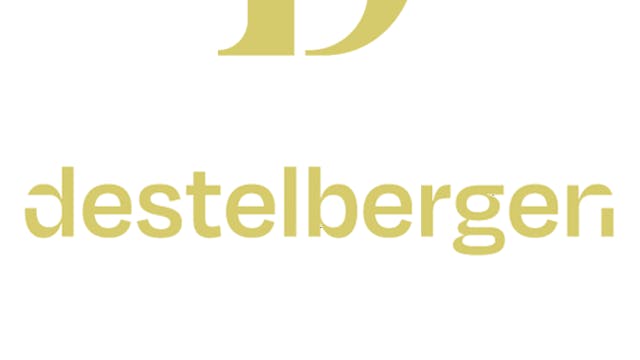 LOGO DESTELBERGEN