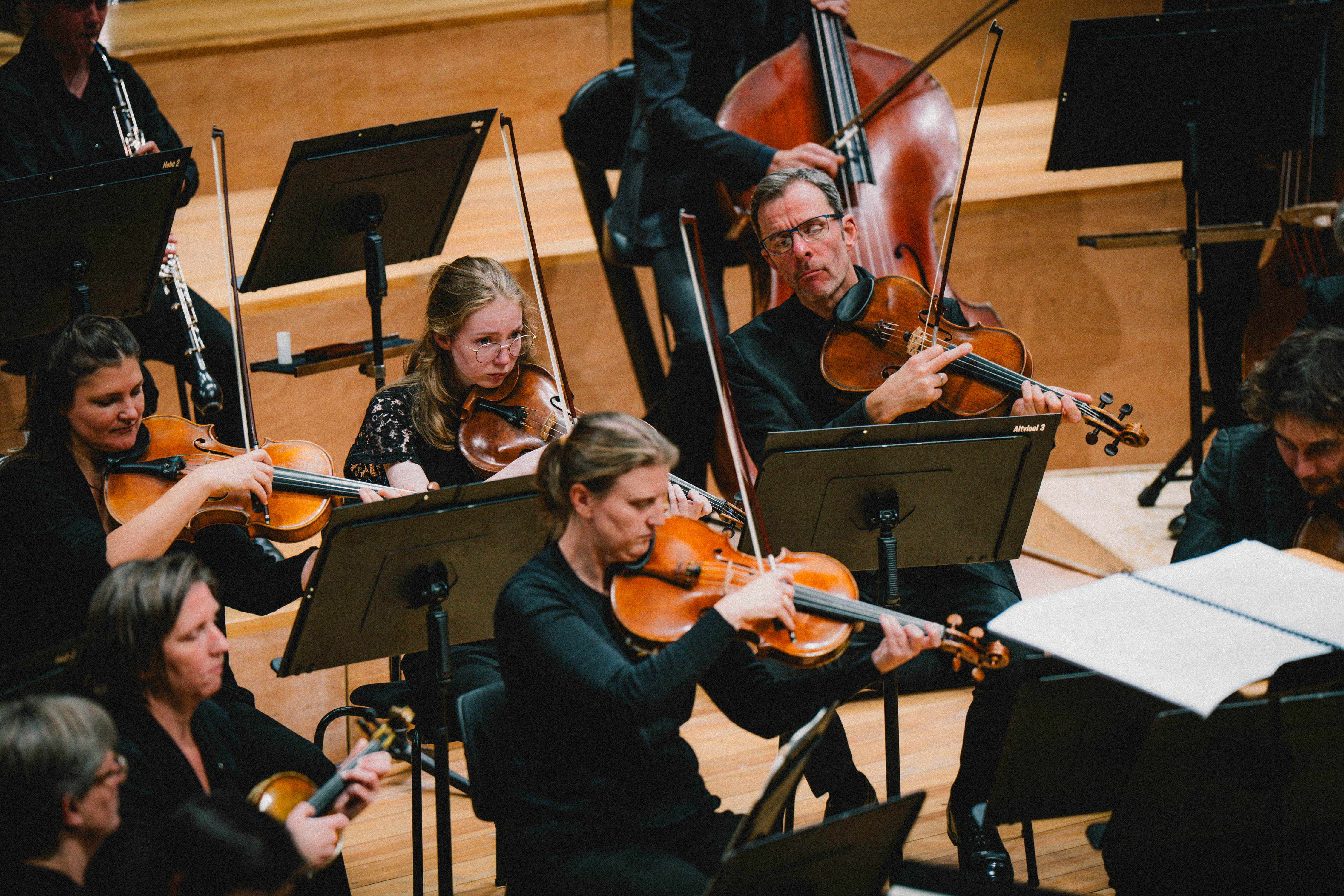 Symfonie Orkest Vlaanderen