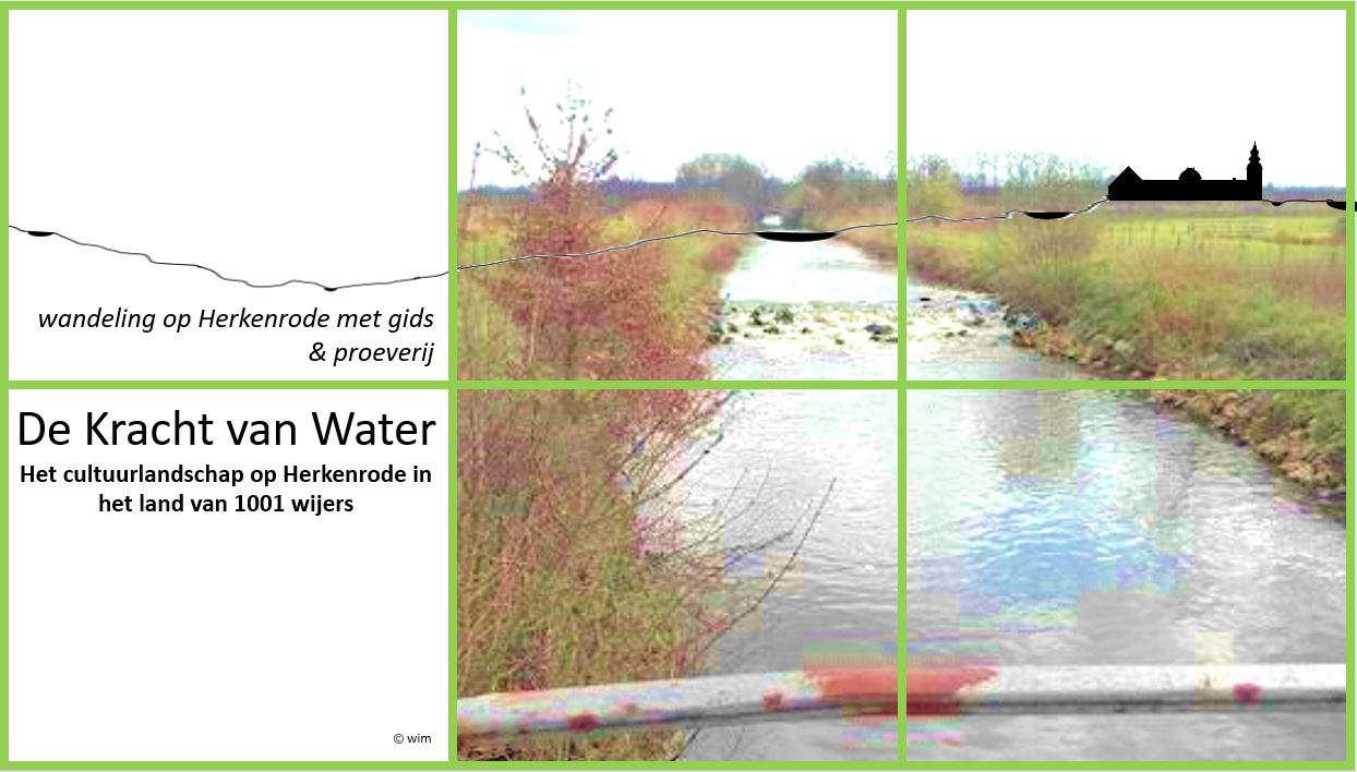 Wijers in Herkenrode