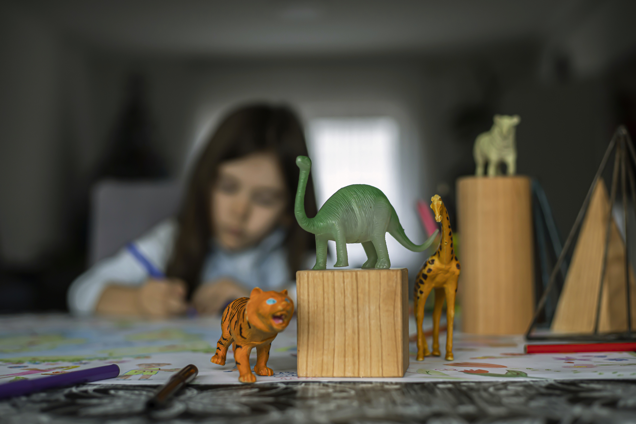 Maak een huis voor een dier.