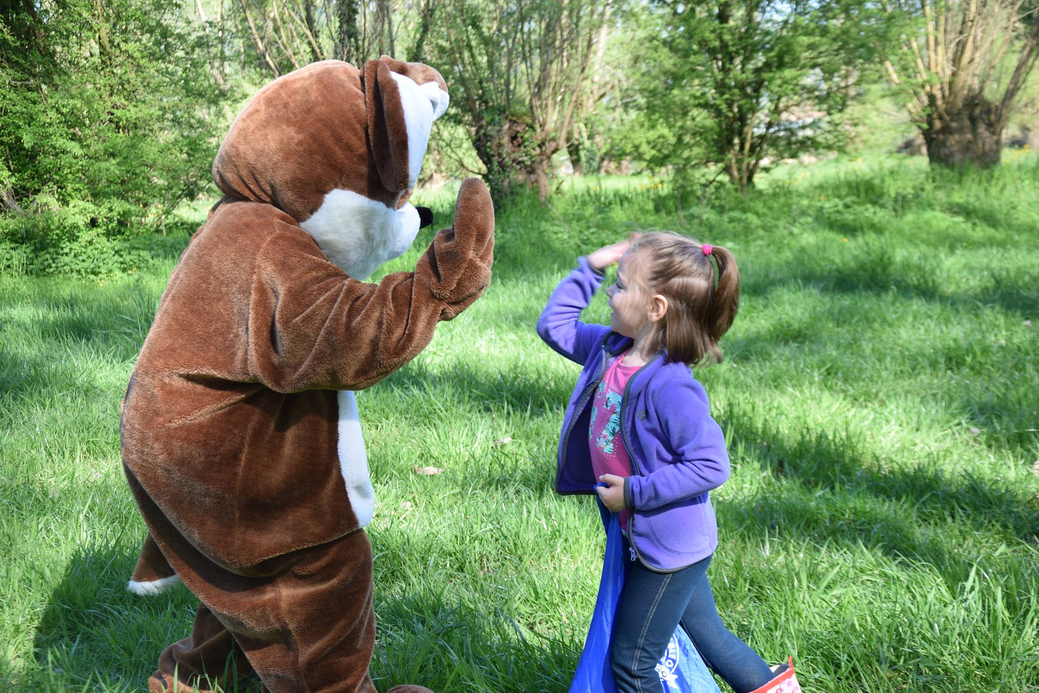 Image for gzbd activity