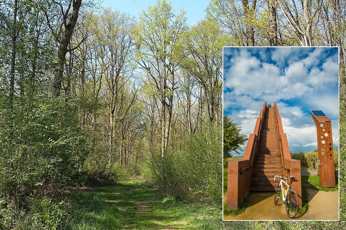 Tielt-Winge, Walenbos en Vlooyenbergtoren