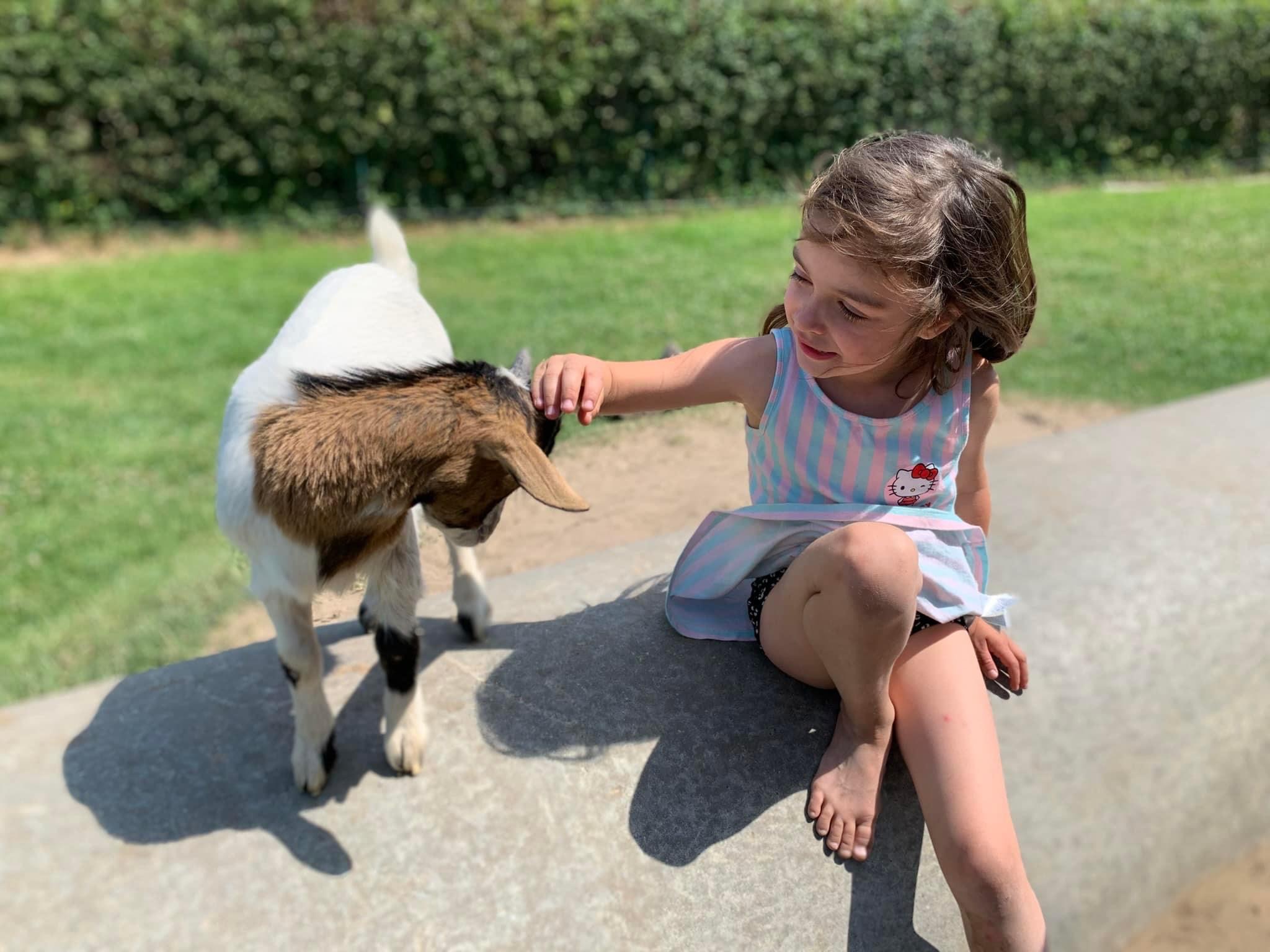 Kinderboerderij Torhout