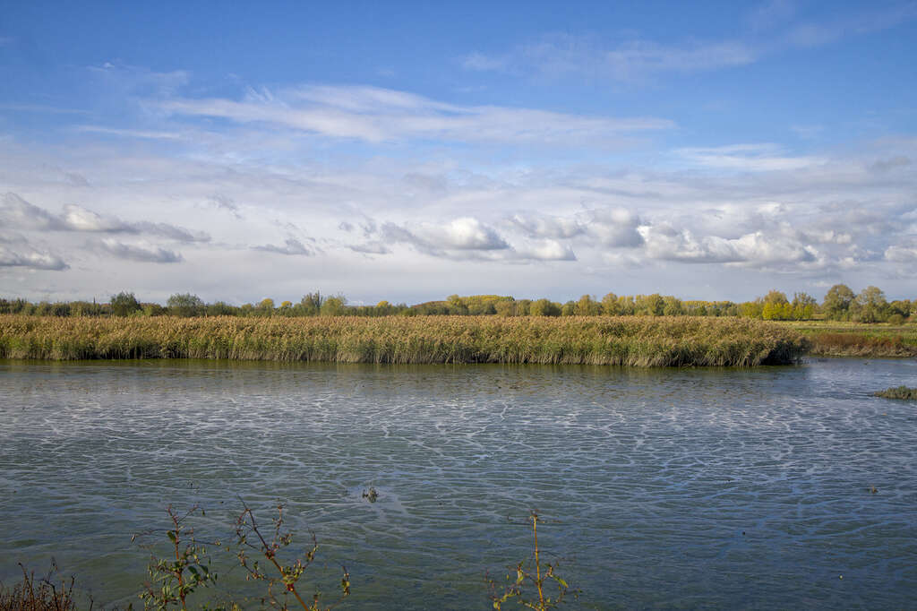 Verkenning van het Nationaal Park Scheldevallei in de Kalkense Meersen