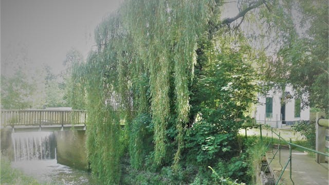 Klein Zwitserland in Zwalm