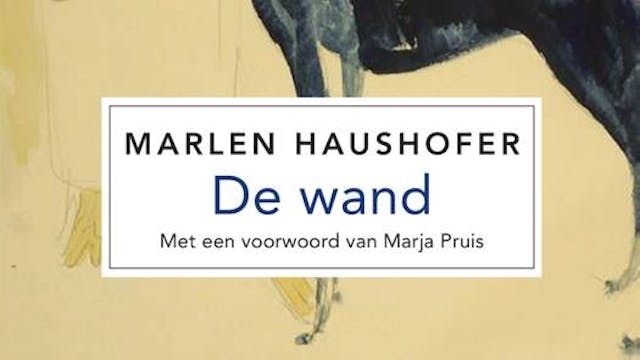 De Wand van Marlen Haushofer