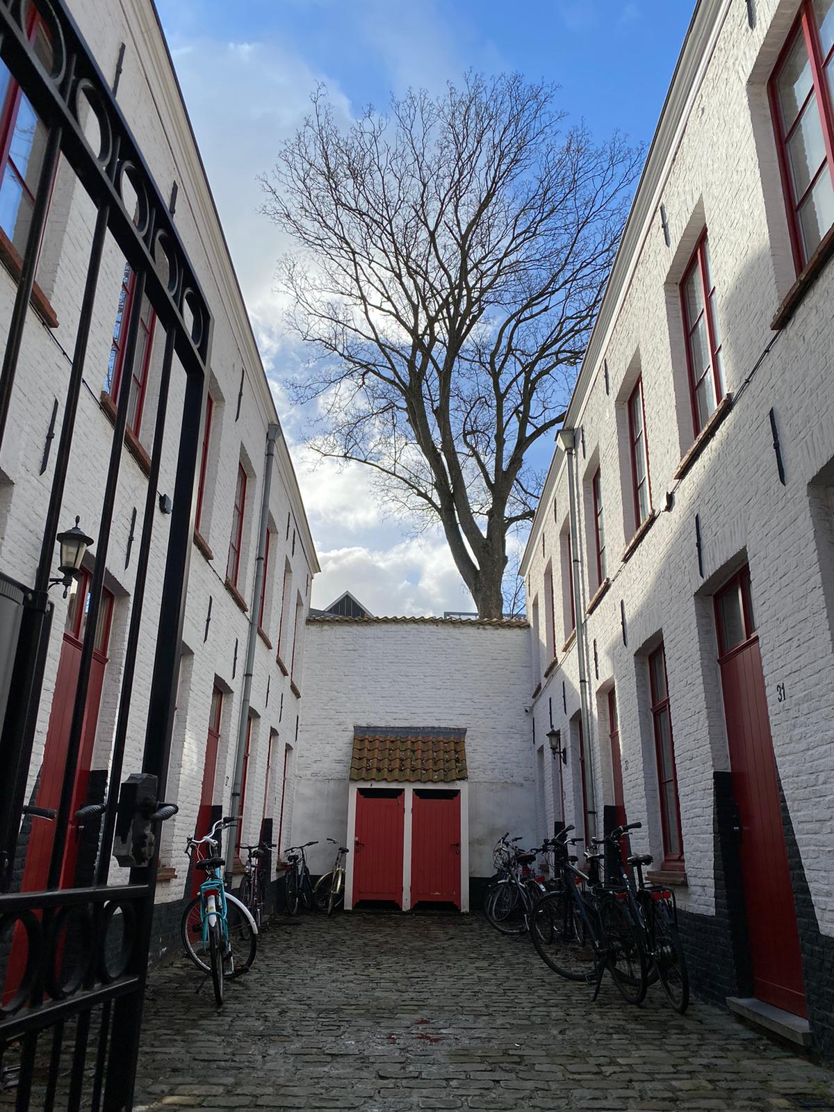 Beluik Hoveniersberg