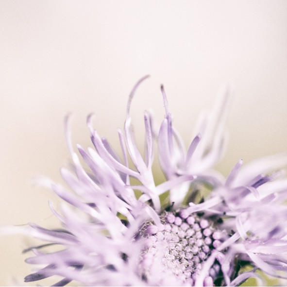 Foto (c) Wendy Leyten