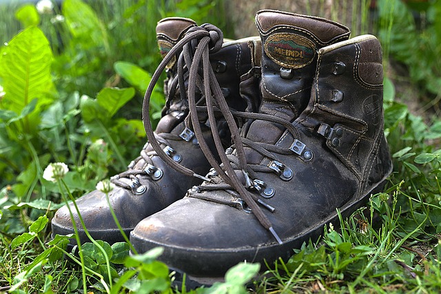 Image for gzbd activity