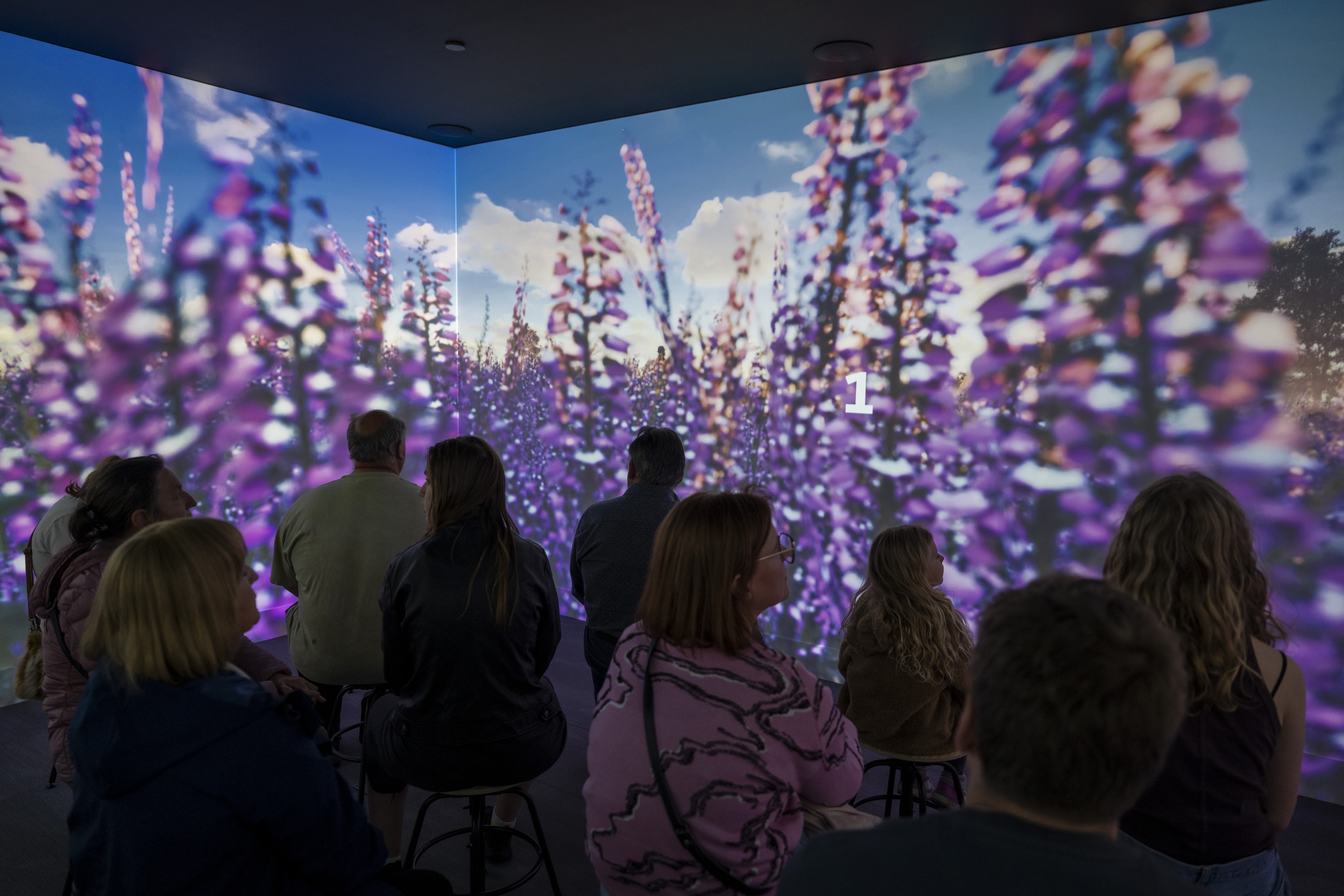 Immersieve film Thor Park Experience