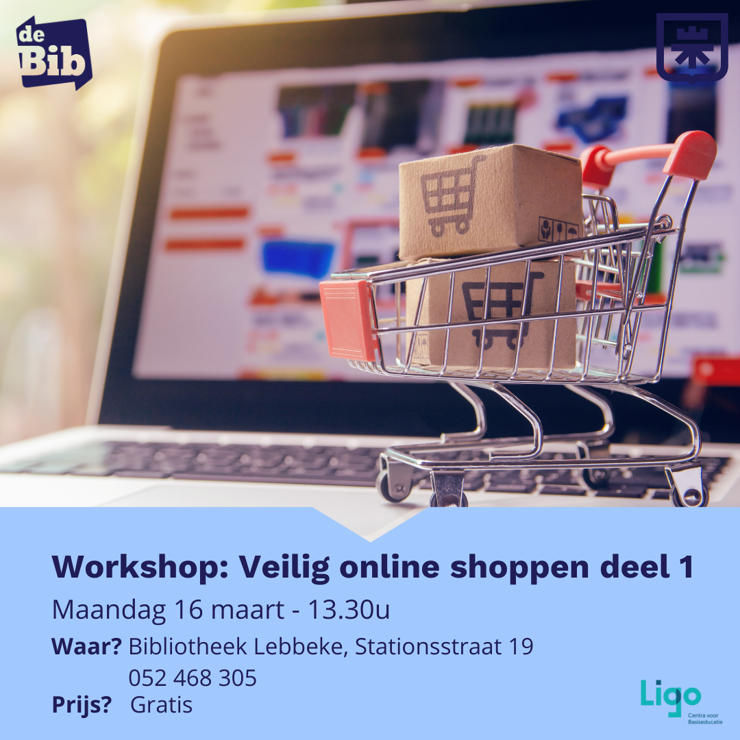 workhsop: veilig online shoppen deel 1 en 2