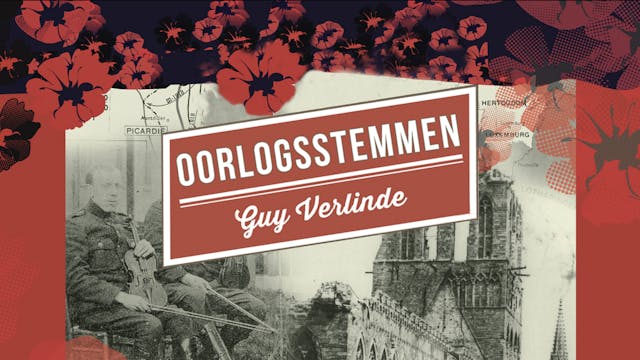 promobeeld