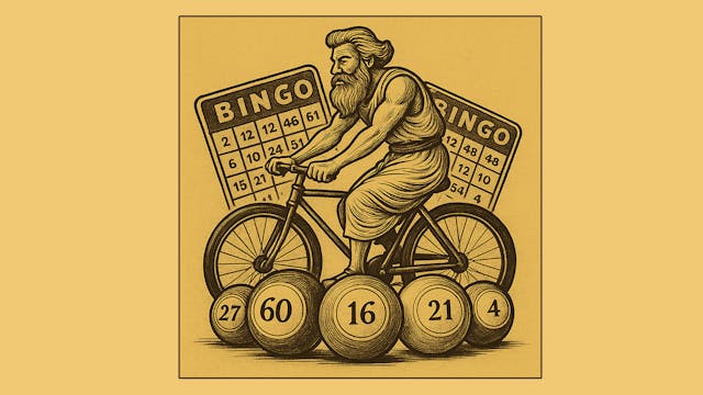 Bingo - Velosoof.be