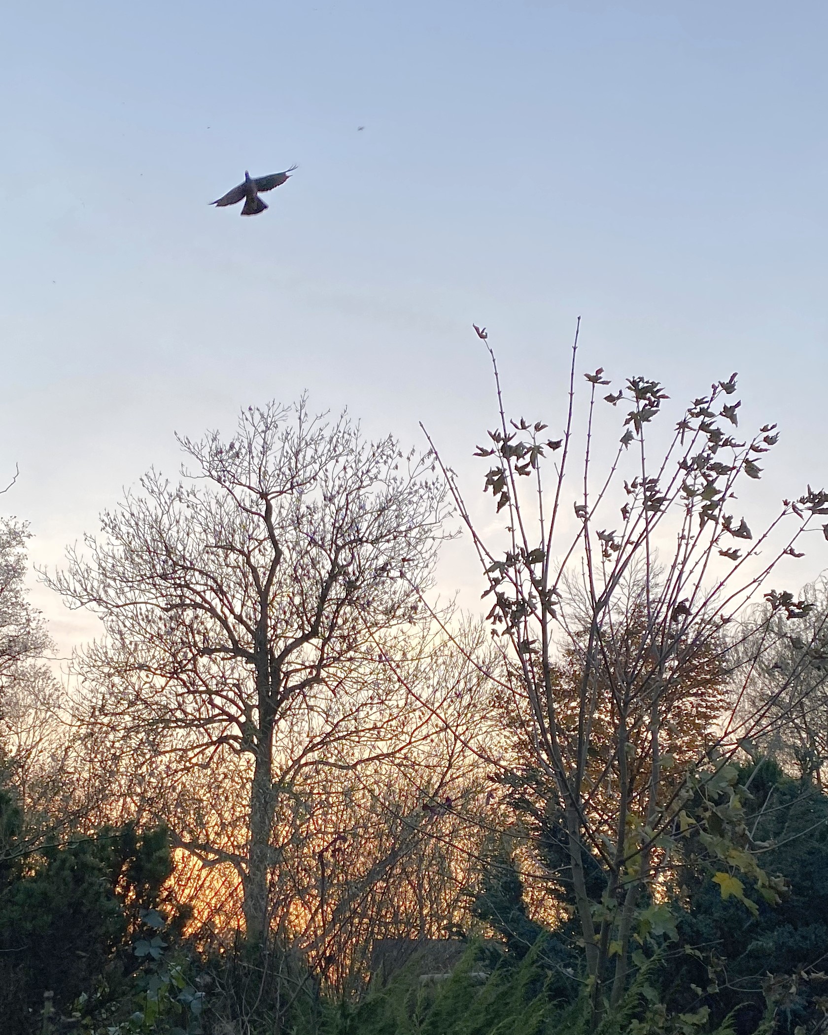 Gather with us for an evening of loving kindness.