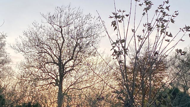 Gather with us for an evening of loving kindness.