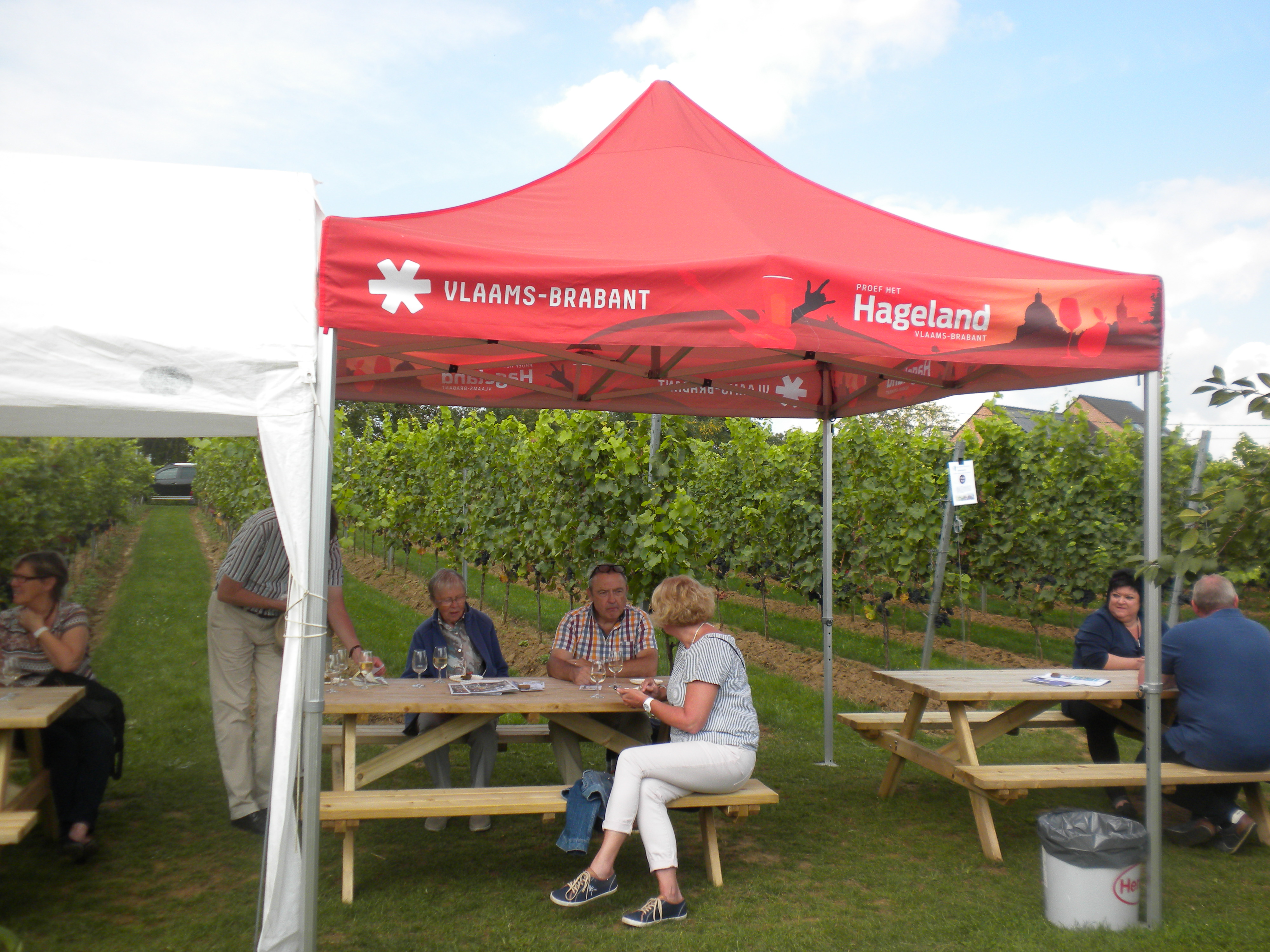 genieten van het supermooie landschap met een heerlijk glas Hagelandse wijn!