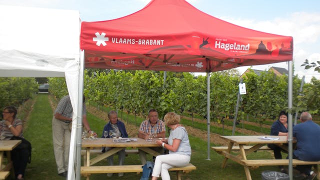 genieten van het supermooie landschap met een heerlijk glas Hagelandse wijn!